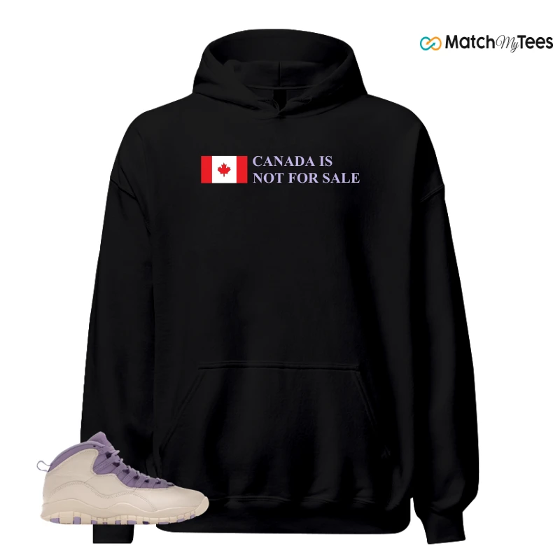 NIKE AIR JORDAN 10 HYDRANGEAS SNEAKER Matching Tees hoodie