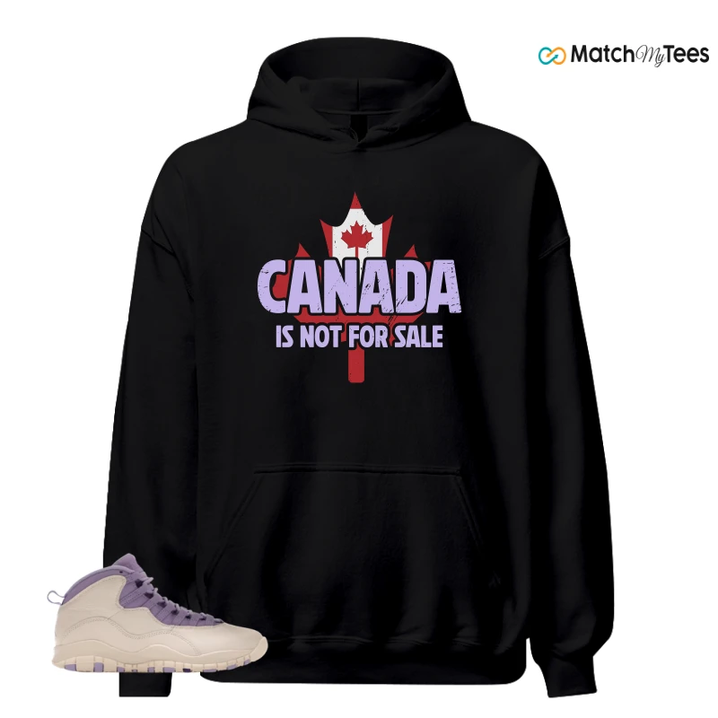 NIKE AIR JORDAN 10 HYDRANGEAS SNEAKER Matching Tees hoodie