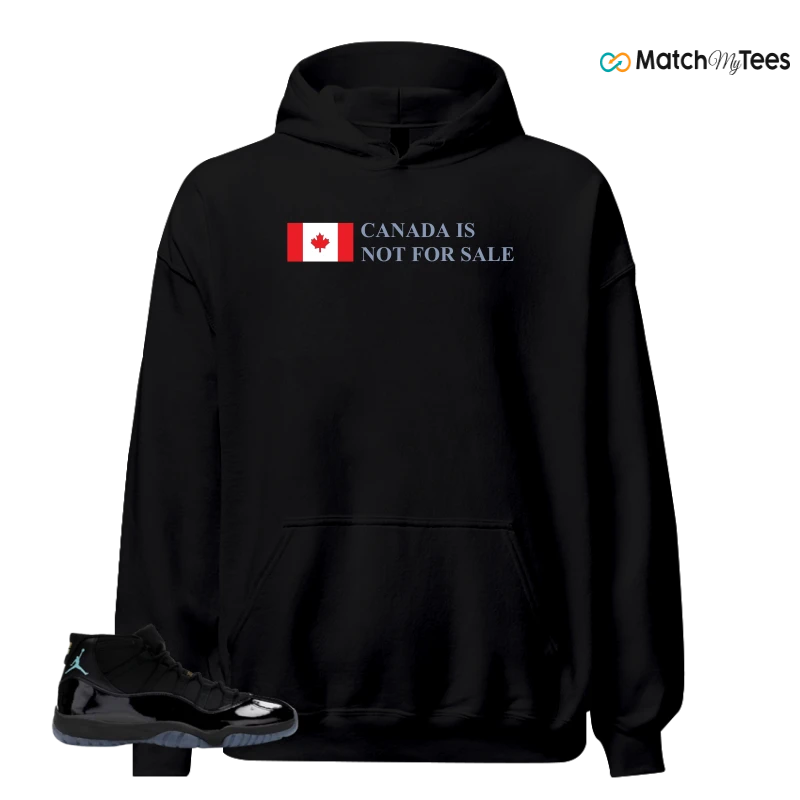 NIKE AIR JORDAN 11 RETRO GAMMA BLUE 2025 SNEAKER Matching Tees hoodie