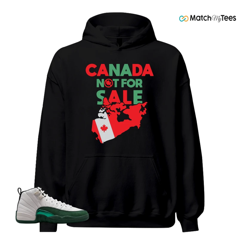 NIKE AIR JORDAN 12 RETRO BUCKS SNEAKER Matching Tees hoodie