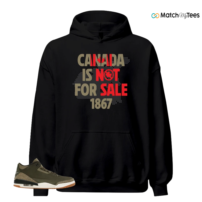 NIKE AIR JORDAN 3 RETRO FAMILY AFFAIR SNEAKER Matching Tees hoodie