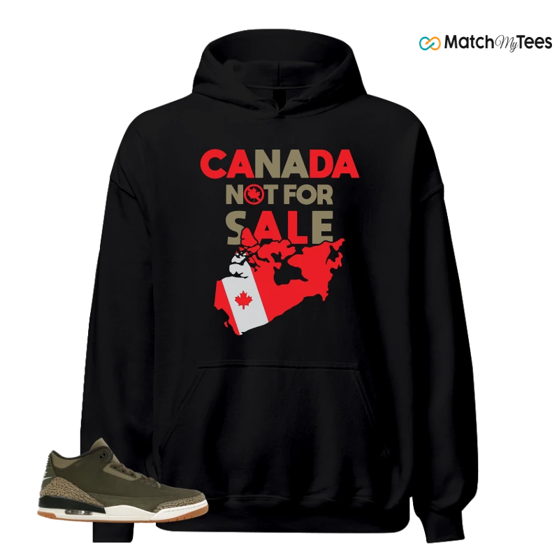 NIKE AIR JORDAN 3 RETRO FAMILY AFFAIR SNEAKER Matching Tees hoodie