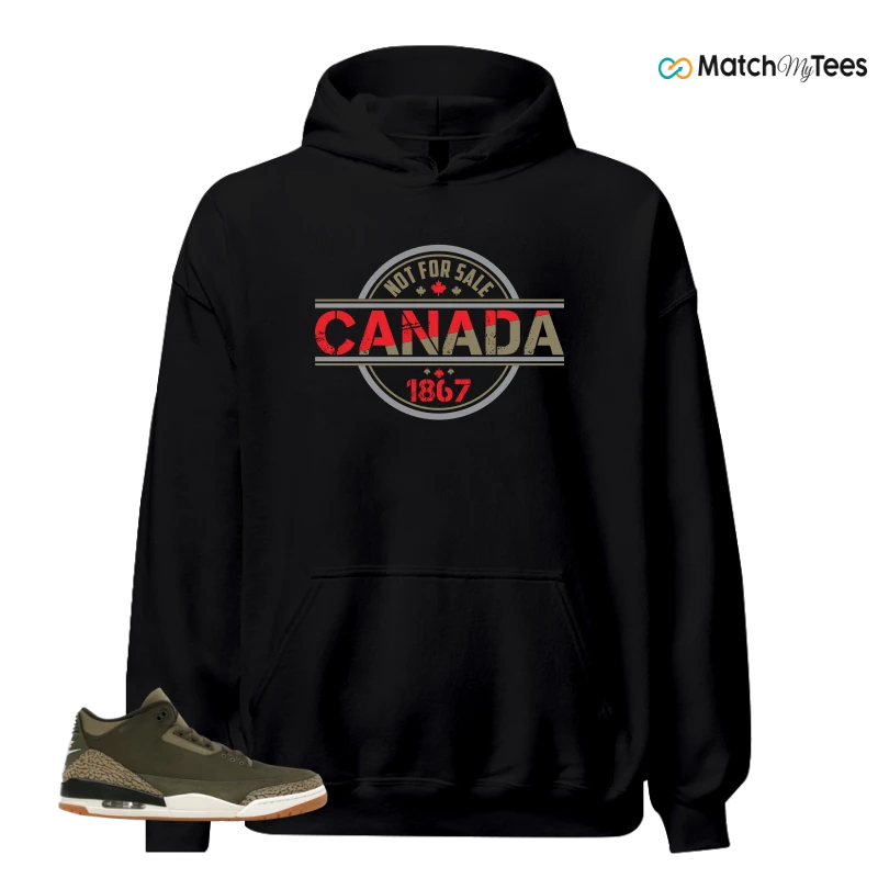NIKE AIR JORDAN 3 RETRO FAMILY AFFAIR SNEAKER Matching Tees hoodie