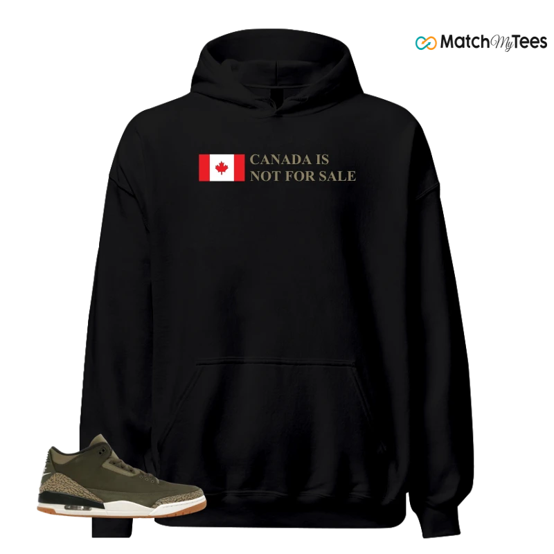 NIKE AIR JORDAN 3 RETRO FAMILY AFFAIR SNEAKER Matching Tees hoodie