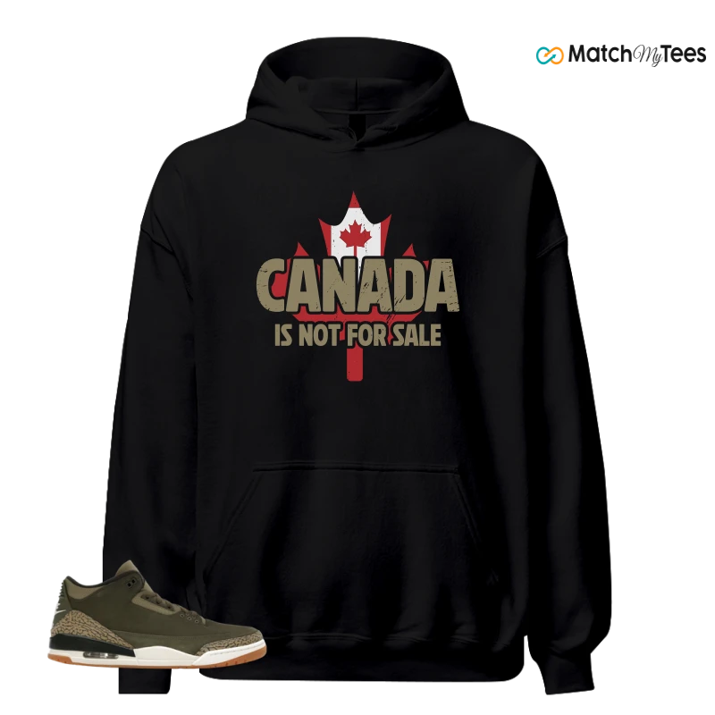 NIKE AIR JORDAN 3 RETRO FAMILY AFFAIR SNEAKER Matching Tees hoodie