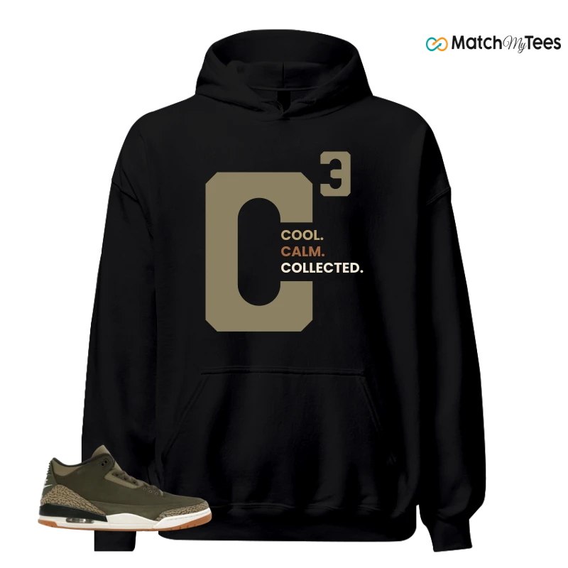 NIKE AIR JORDAN 3 RETRO FAMILY AFFAIR SNEAKER Matching Tees hoodie