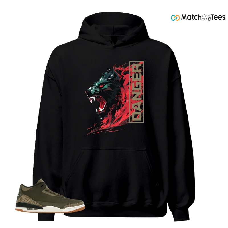 NIKE AIR JORDAN 3 RETRO FAMILY AFFAIR SNEAKER Matching Tees hoodie