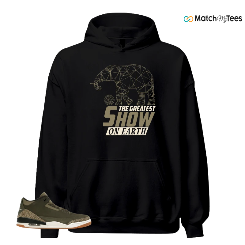 NIKE AIR JORDAN 3 RETRO FAMILY AFFAIR SNEAKER Matching Tees hoodie