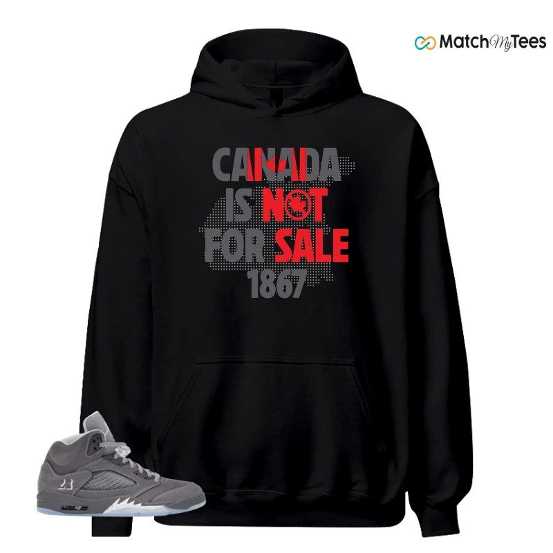 NIKE AIR JORDAN 5 WOLF GREY SNEAKER Matching Tees hoodie