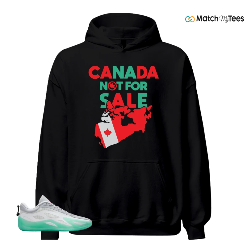 NIKE AIR JORDAN HEIR SERIES 2 SOUTH BEACH SNEAKER Matching Tees hoodie