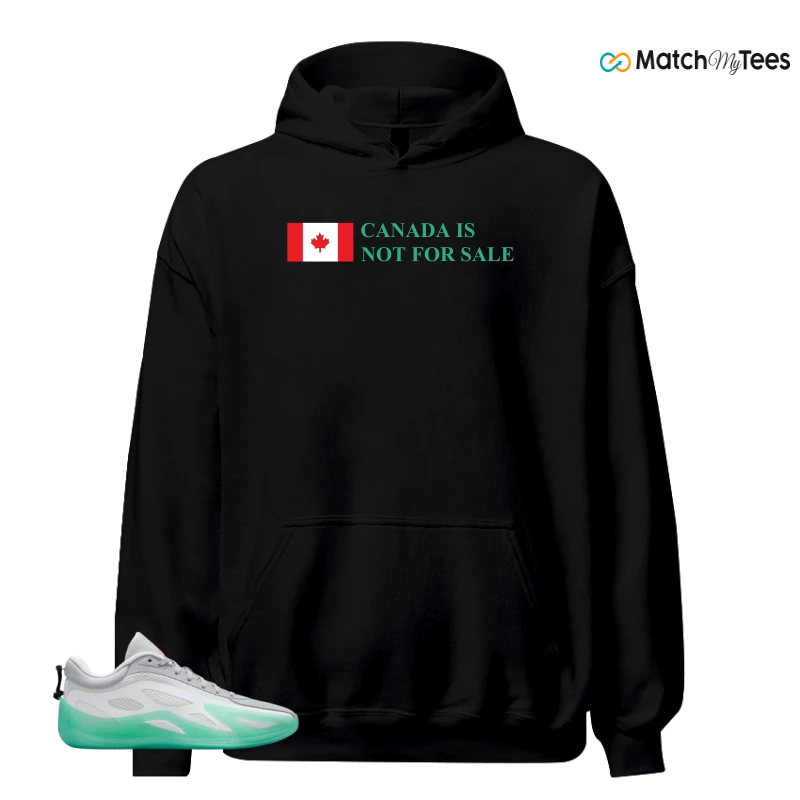 NIKE AIR JORDAN HEIR SERIES 2 SOUTH BEACH SNEAKER Matching Tees hoodie