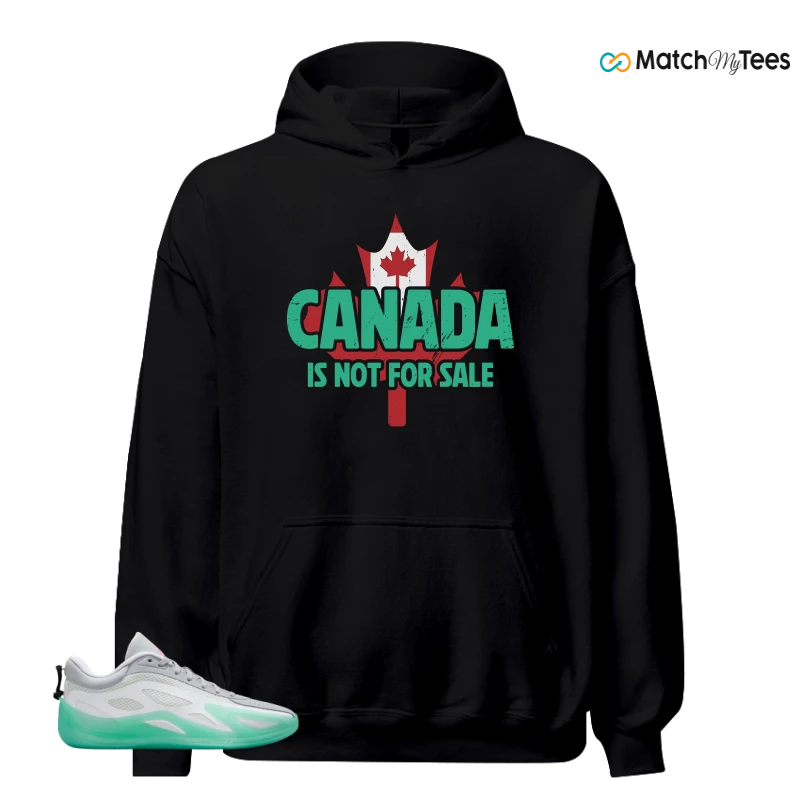NIKE AIR JORDAN HEIR SERIES 2 SOUTH BEACH SNEAKER Matching Tees hoodie