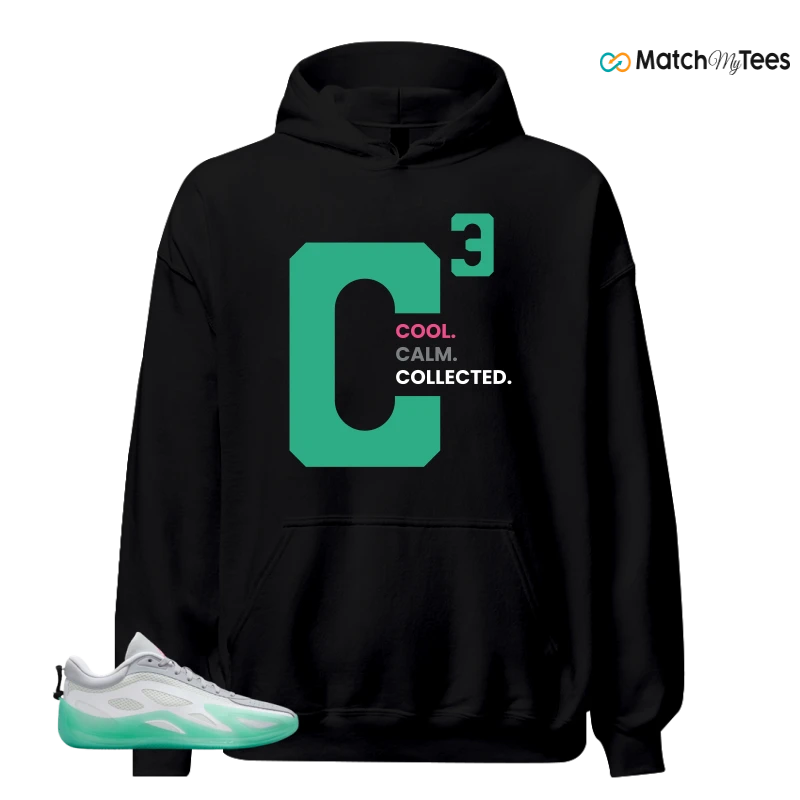 NIKE AIR JORDAN HEIR SERIES 2 SOUTH BEACH SNEAKER Matching Tees hoodie