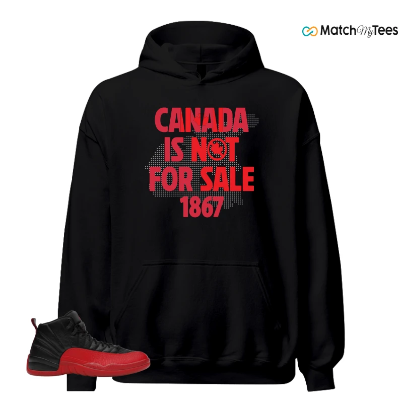 NIKE JORDAN 12 RETRO FLU GAME (2025) SNEAKER Matching Tees hoodie
