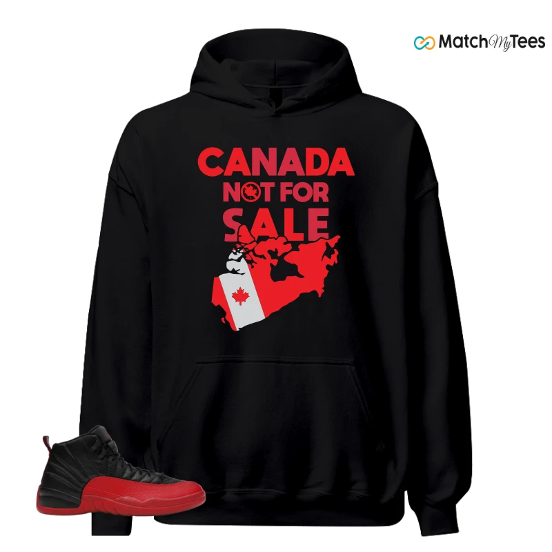 NIKE JORDAN 12 RETRO FLU GAME (2025) SNEAKER Matching Tees hoodie