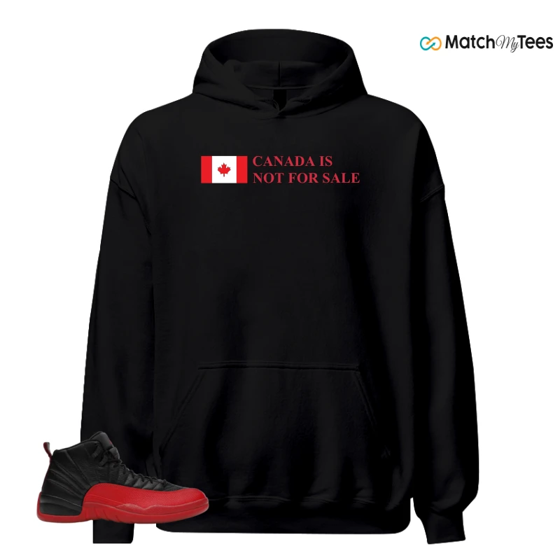 NIKE JORDAN 12 RETRO FLU GAME (2025) SNEAKER Matching Tees hoodie