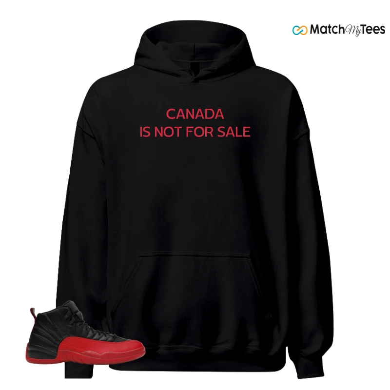 NIKE JORDAN 12 RETRO FLU GAME (2025) SNEAKER Matching Tees hoodie