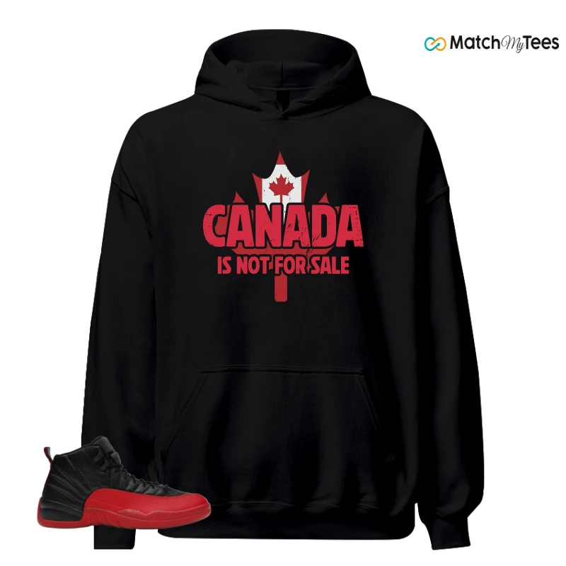 NIKE JORDAN 12 RETRO FLU GAME (2025) SNEAKER Matching Tees hoodie