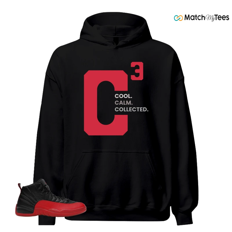 NIKE JORDAN 12 RETRO FLU GAME (2025) SNEAKER Matching Tees hoodie