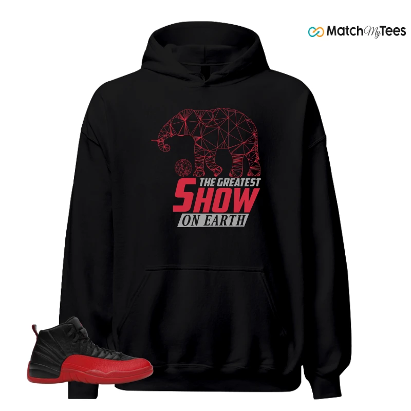 NIKE JORDAN 12 RETRO FLU GAME (2025) SNEAKER Matching Tees hoodie