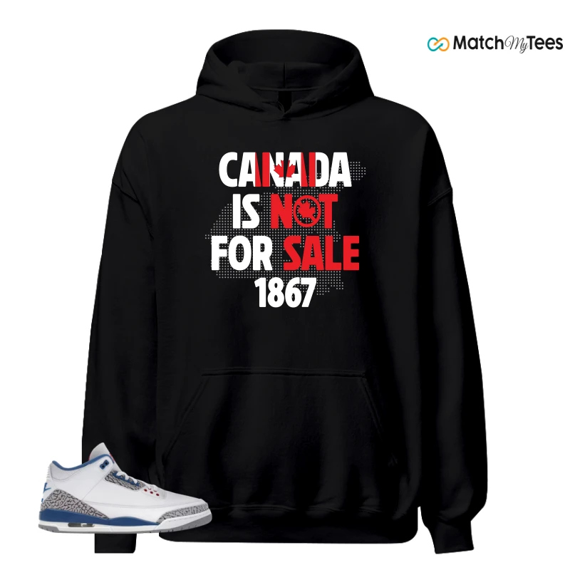 NIKE JORDAN 3 RETRO TRUE BLUE (2026) SNEAKER Matching Tees hoodie