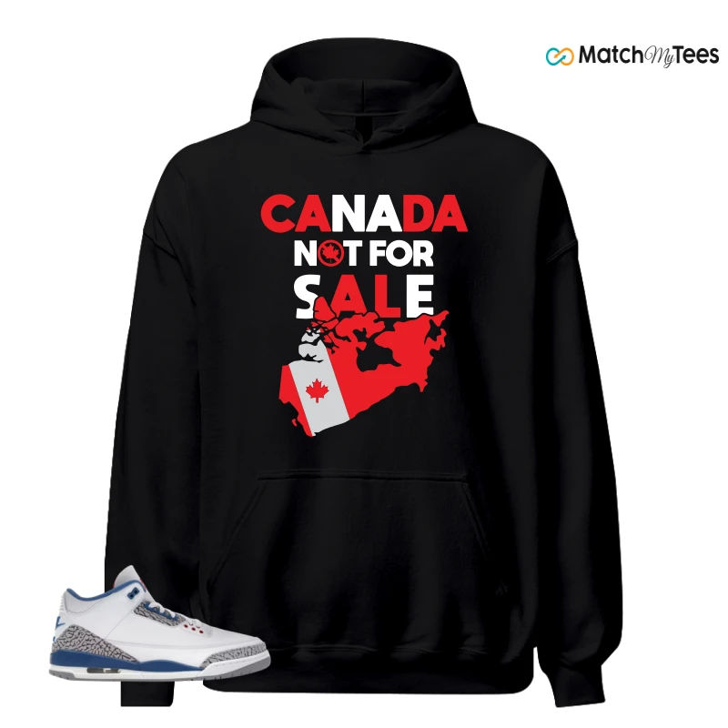 NIKE JORDAN 3 RETRO TRUE BLUE (2026) SNEAKER Matching Tees hoodie