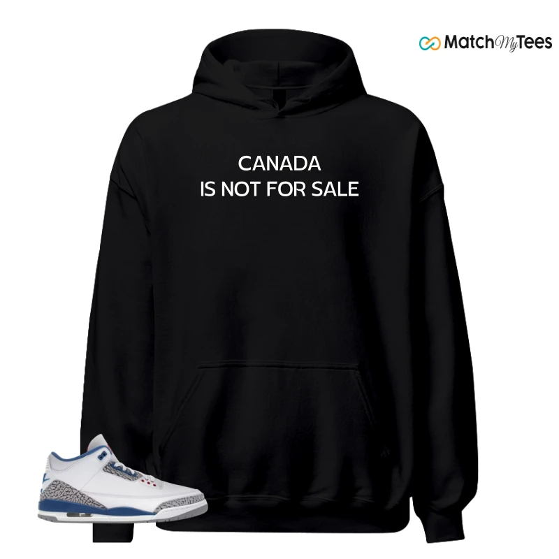 NIKE JORDAN 3 RETRO TRUE BLUE (2026) SNEAKER Matching Tees hoodie