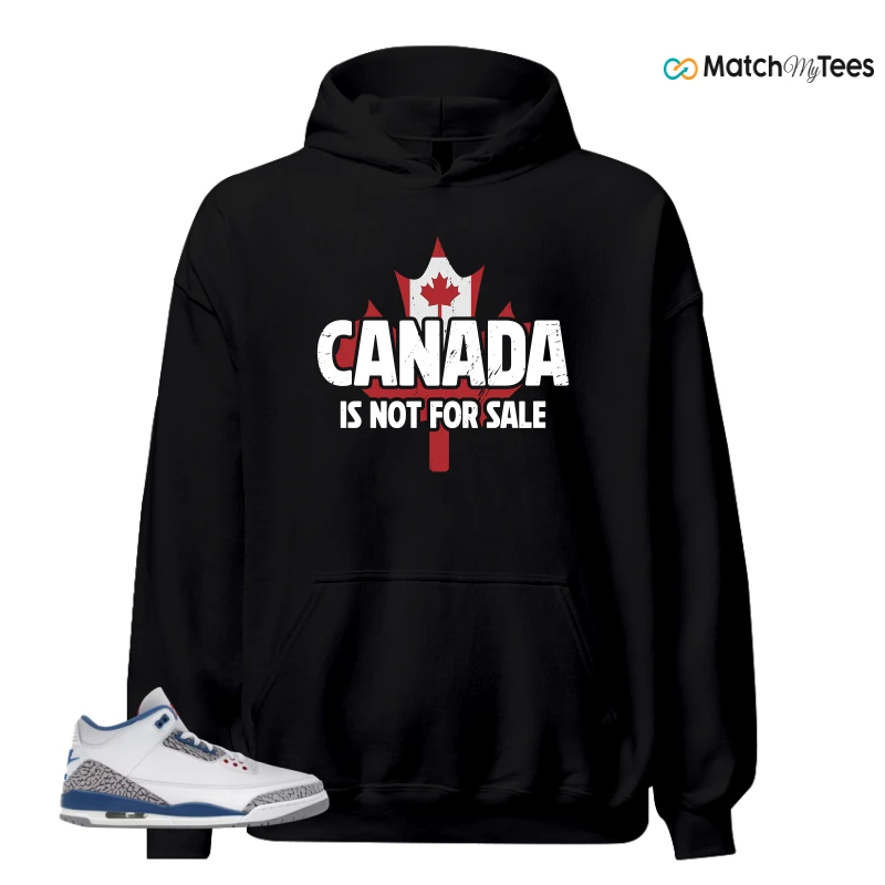 NIKE JORDAN 3 RETRO TRUE BLUE (2026) SNEAKER Matching Tees hoodie