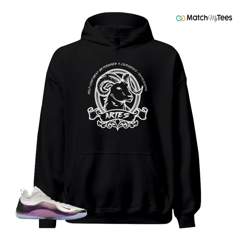 NIKE LEBRON 23 ELITE FOR THE RECORD SNEAKER Matching Tees hoodie