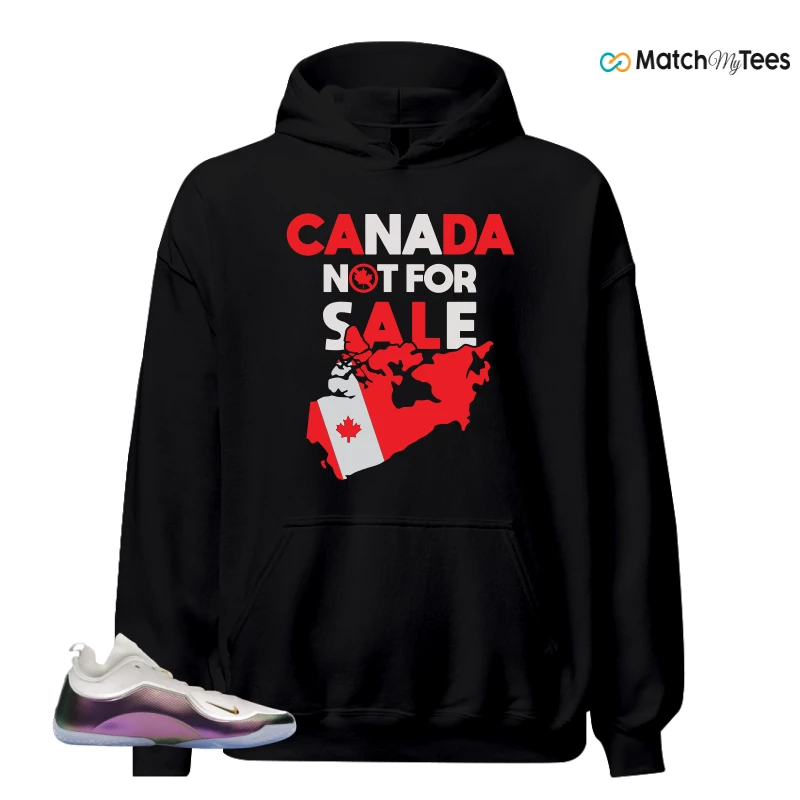 NIKE LEBRON 23 ELITE FOR THE RECORD SNEAKER Matching Tees hoodie