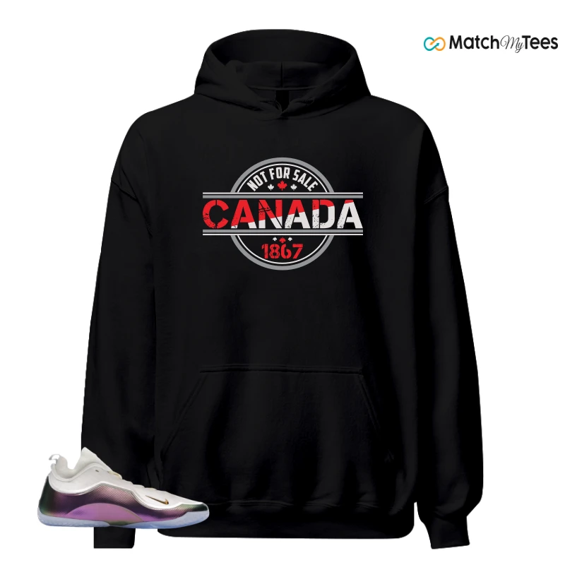 NIKE LEBRON 23 ELITE FOR THE RECORD SNEAKER Matching Tees hoodie