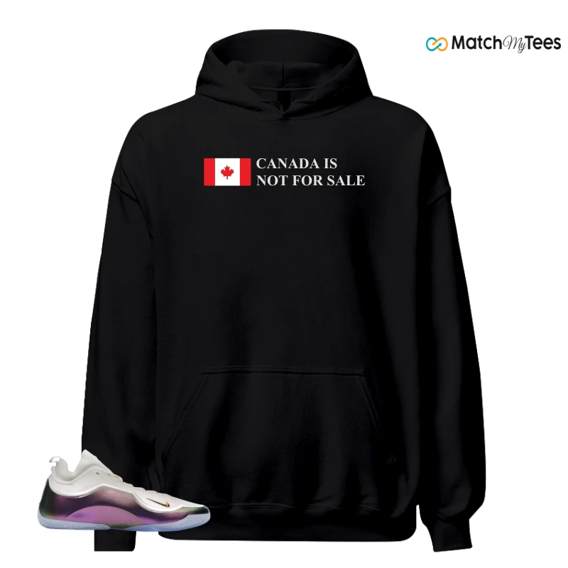 NIKE LEBRON 23 ELITE FOR THE RECORD SNEAKER Matching Tees hoodie