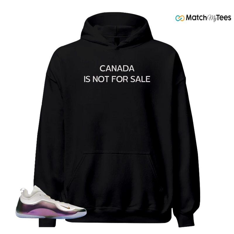 NIKE LEBRON 23 ELITE FOR THE RECORD SNEAKER Matching Tees hoodie