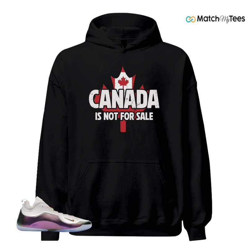 NIKE LEBRON 23 ELITE FOR THE RECORD SNEAKER Matching Tees hoodie