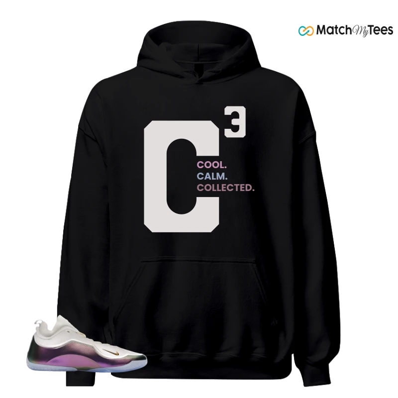 NIKE LEBRON 23 ELITE FOR THE RECORD SNEAKER Matching Tees hoodie