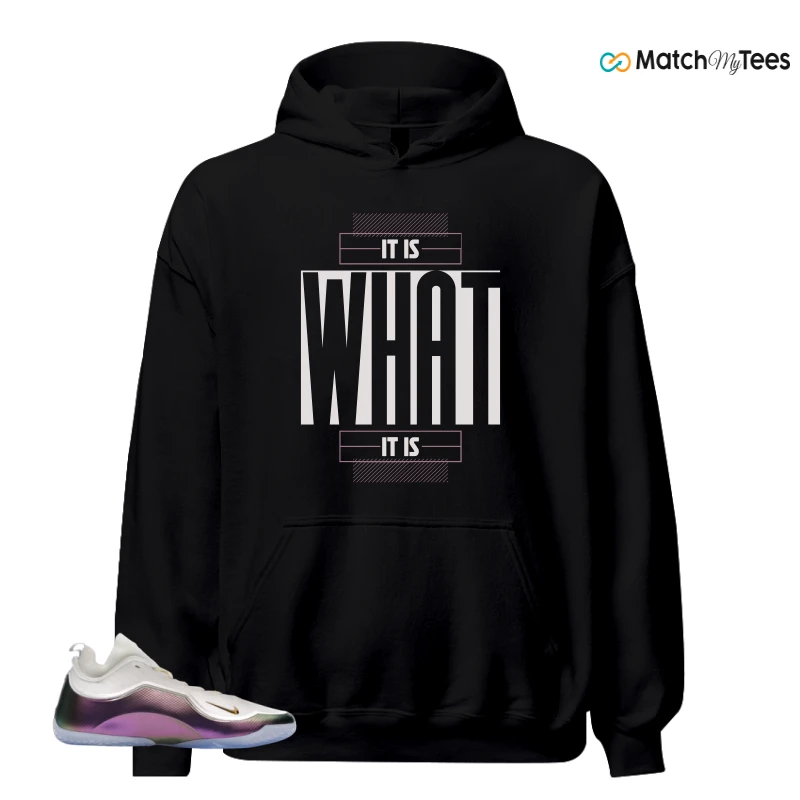 NIKE LEBRON 23 ELITE FOR THE RECORD SNEAKER Matching Tees hoodie