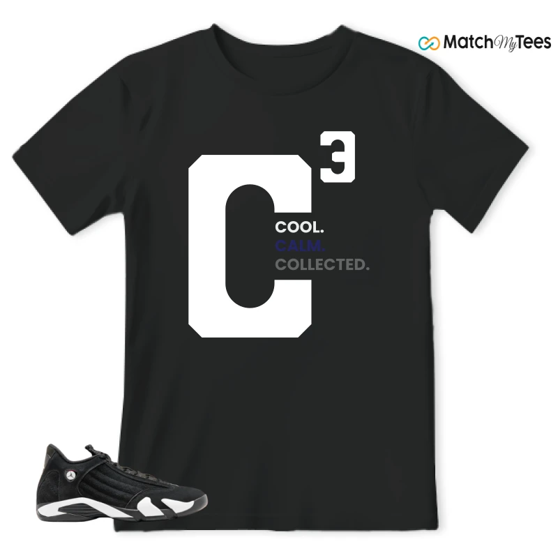 NIKE JORDAN 14 RETRO BLACK WHITE SNEAKER Matching Tees t-shirt