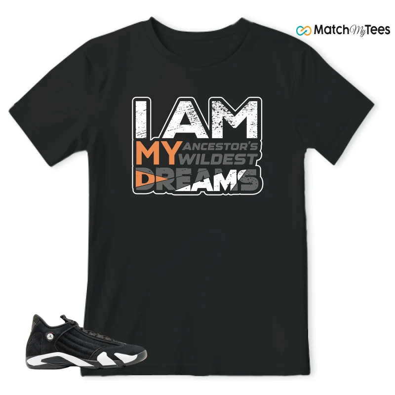 NIKE JORDAN 14 RETRO BLACK WHITE SNEAKER Matching Tees t-shirt