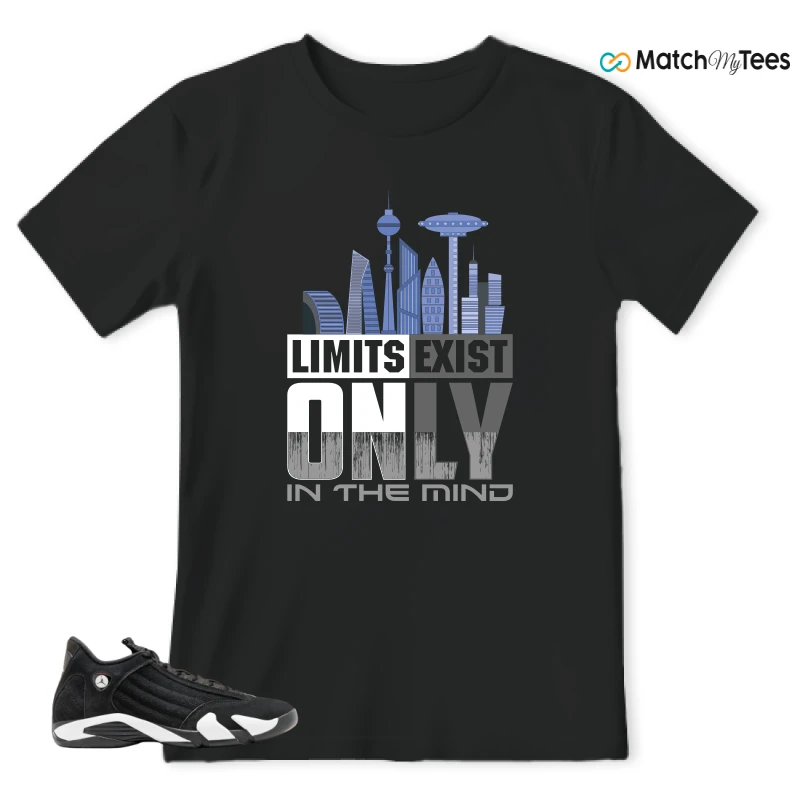 NIKE JORDAN 14 RETRO BLACK WHITE SNEAKER Matching Tees t-shirt