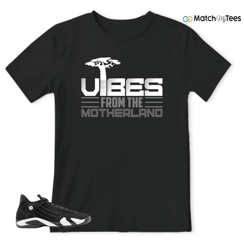 NIKE JORDAN 14 RETRO BLACK WHITE SNEAKER Matching Tees t-shirt