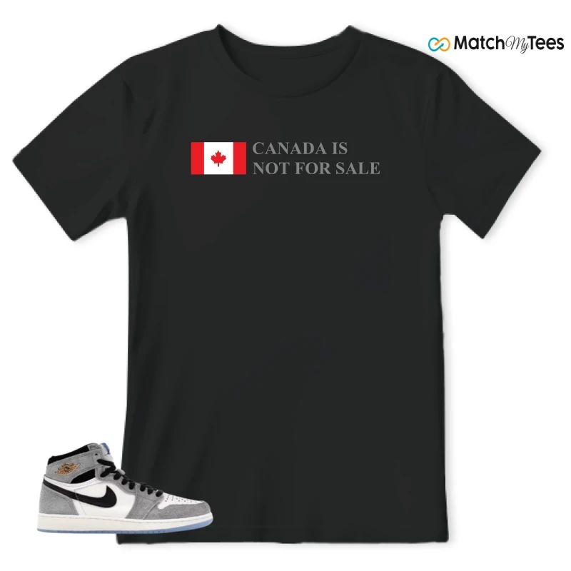 NIKE AIR JORDAN 1 HIGH COOL GREY SNEAKER Matching Tees t-shirt