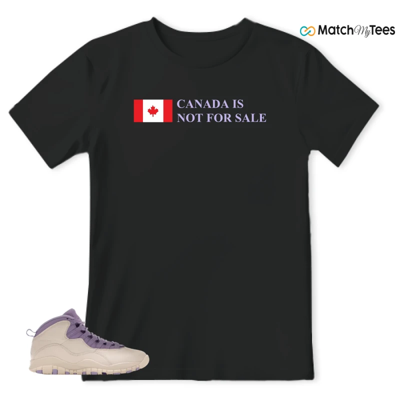 NIKE AIR JORDAN 10 HYDRANGEAS SNEAKER Matching Tees t-shirt