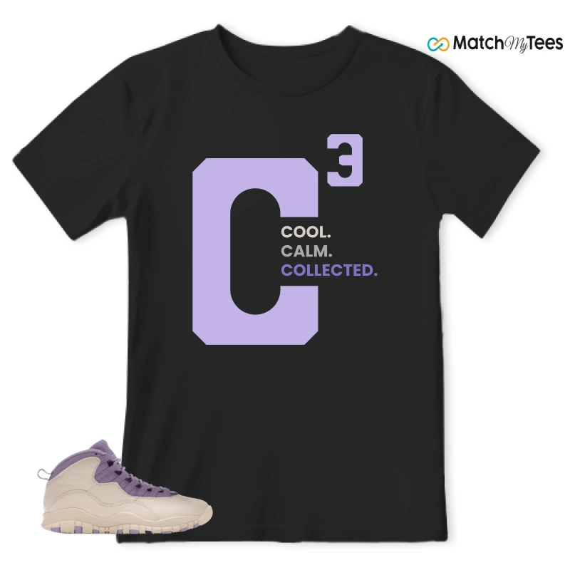 NIKE AIR JORDAN 10 HYDRANGEAS SNEAKER Matching Tees t-shirt