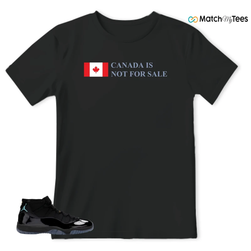 NIKE AIR JORDAN 11 RETRO GAMMA BLUE 2025 SNEAKER Matching Tees t-shirt
