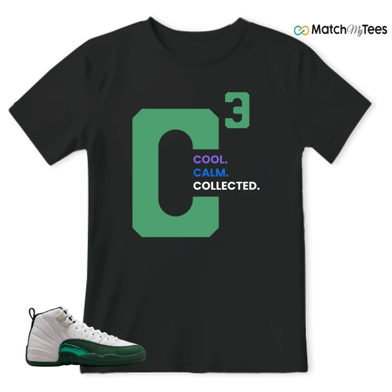 NIKE AIR JORDAN 12 RETRO BUCKS SNEAKER Matching Tees t-shirt