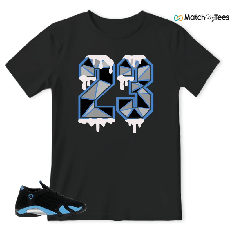 NIKE AIR JORDAN 14 RETRO BLACK UNIVERSITY BLUE (2026) (GS) SNEAKER Matching Tees t-shirt