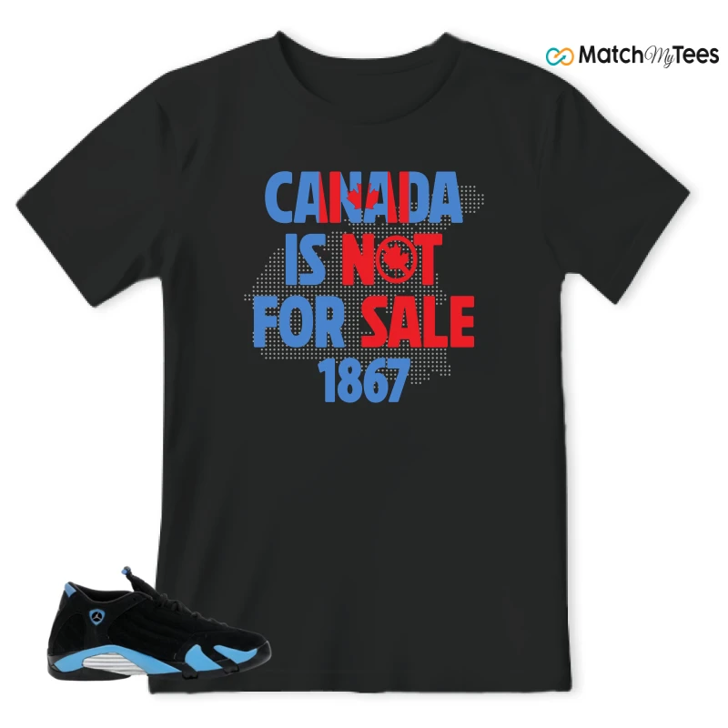 NIKE AIR JORDAN 14 RETRO BLACK UNIVERSITY BLUE (2026) (GS) SNEAKER Matching Tees t-shirt