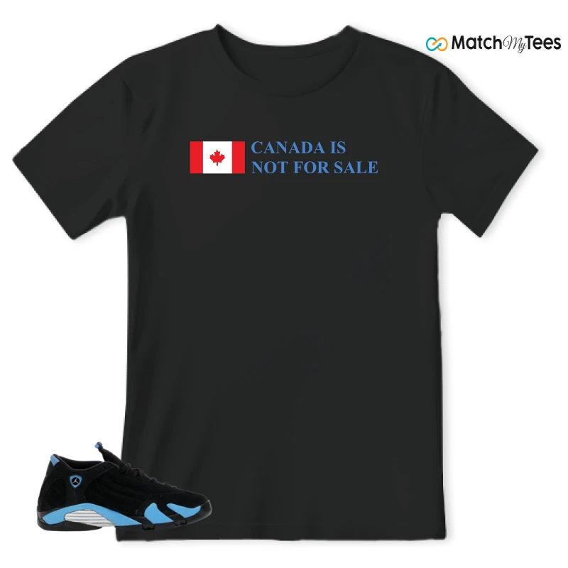 NIKE AIR JORDAN 14 RETRO BLACK UNIVERSITY BLUE (2026) (GS) SNEAKER Matching Tees t-shirt