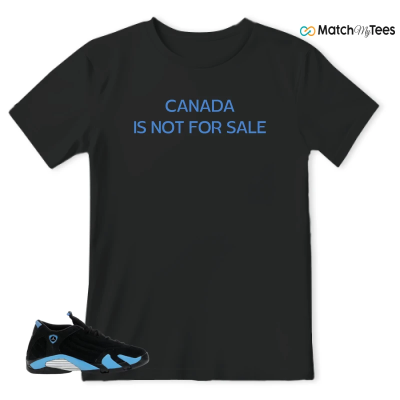 NIKE AIR JORDAN 14 RETRO BLACK UNIVERSITY BLUE (2026) (GS) SNEAKER Matching Tees t-shirt