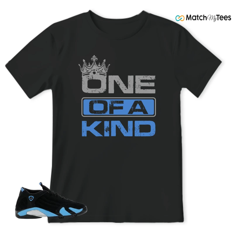 NIKE AIR JORDAN 14 RETRO BLACK UNIVERSITY BLUE (2026) (GS) SNEAKER Matching Tees t-shirt